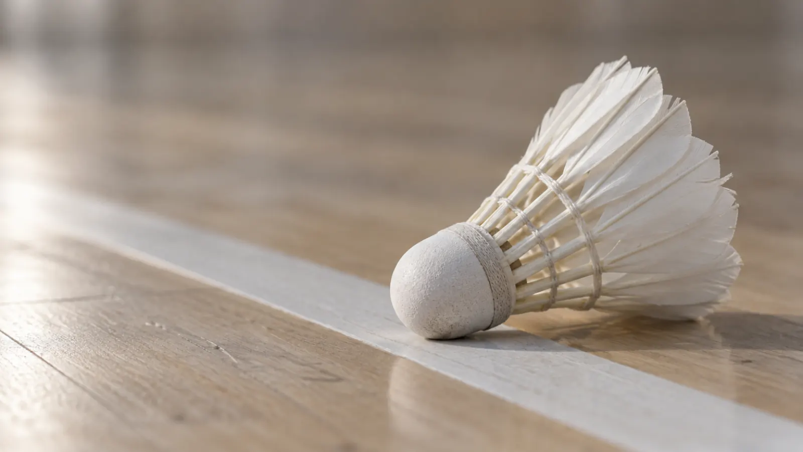 Close-up of a white feather shuttlecock lying across a white court line on a wooden floor